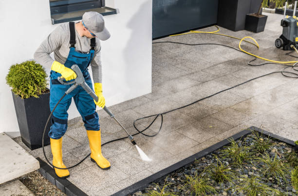 Best Garage Pressure Washing  in Walnut, IL