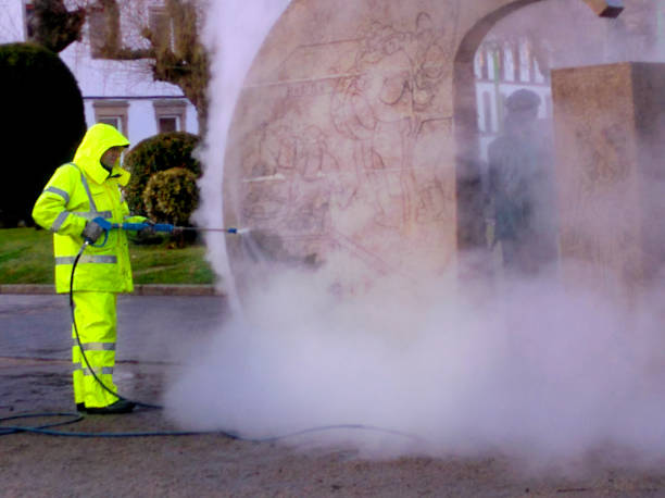 Best Pressure Washing Company Near Me  in Walnut, IL