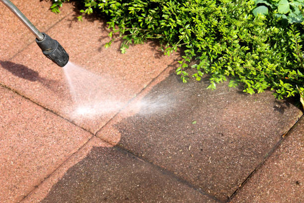 Best Roof Power Washing Services  in Walnut, IL