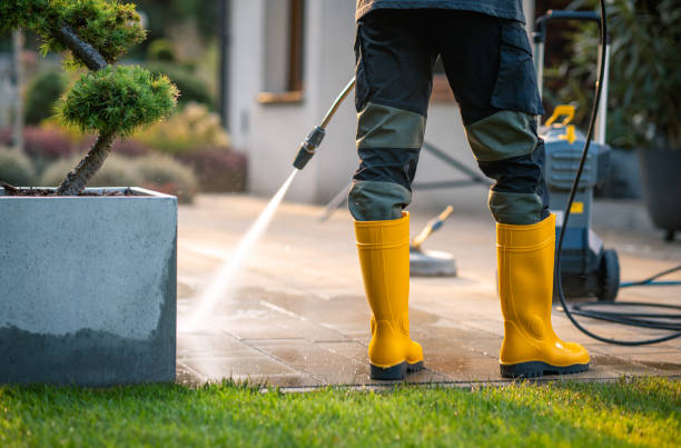 Best House Pressure Washing  in Walnut, IL